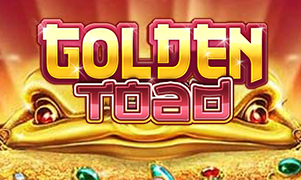 wild bandito Golden Toad